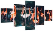 Obraz stada flamingów (125x70 cm)