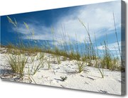 Obraz na płótnie Złoty Brzeg Oceanu