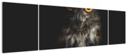 Obraz sowy (170x50 cm)
