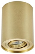 Zuma Line 94354-N - Lampa punktowa RONDOO 1xGU10/50W/230V złota