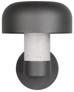 Zewnętrzna lampa ścienna (wysokość 24,5 cm) Fraser – Trio