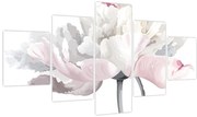 Obraz - Kwiat róży (125x70 cm)