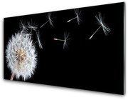 Panel Szklany Dmuchawiec Kwiaty Natura