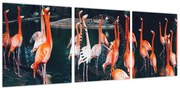 Obraz stada flamingów (z zegarem) (90x30 cm)