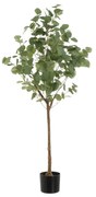 Sztuczny kwiat Eucalyptus – Casa Selección