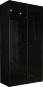 Szafka: grafitowa czerń / szkło antysłoneczne, 100 x 200 x 51 cm