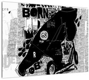 Obraz - Urodzony by jeździć (70x50 cm)