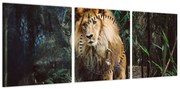 Obraz lwa w naturze (z zegarem) (90x30 cm)