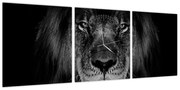 Obraz - lew i jego majestatyczność (z zegarem) (90x30 cm)