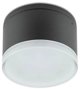 Redo 90107 - LED Plafon zewnętrzny AKRON 1xLED/9W/230V IP54