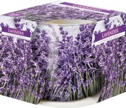 Świeczka zapachowa w szkle Lavender 100 g, 7,2 cm