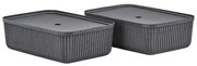 Koszyki zestaw 2 szt. 48x32x20.5 cm Pulp – Zone
