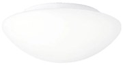 Prezent 1500 - Lampa łazienkowa plafon/kinkiet ASPEN 1xE27/60W/230V