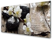 Obraz Akrylowy Kwiaty Gałązka Owocowa