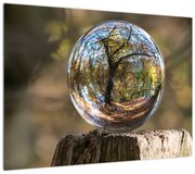 Obraz - Odbicie w szklanej kuli (70x50 cm)