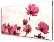 Obraz Akrylowy Kwiaty Roślina Natura