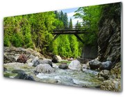 Panel Szklany Drewniany Most w Lesie