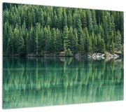 Obraz - drzewa iglaste nad jeziorem (70x50 cm)