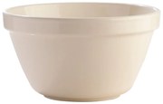 Biała misa kamionkowa Mason Cash Basin, ⌀ 22 cm