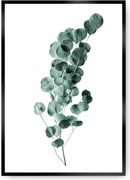 Plakat Eucalyptus Emerald Green