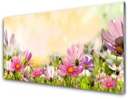 Obraz Akrylowy Kwiaty Roślina Natura