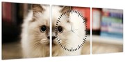 Obraz białego kota (z zegarem) (90x30 cm)