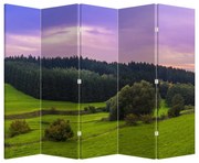 Parawan - Łąka (210x170 cm)