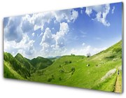 Obraz Akrylowy Góra Łąka Przyroda Pole