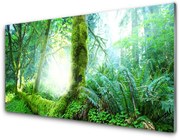 Obraz Akrylowy Las Mech Natura