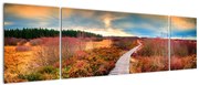Obraz - Jesienna podróż krainą (170x50 cm)