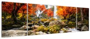 Obraz - Wodospady w pomarańczowym lesie (170x50 cm)