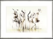 Obraz Taniec, Seria Londyn