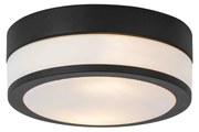 Nowoczesna lampa sufitowa zewnętrzna czarna 23 cm IP44 - Flavi