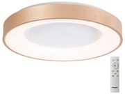 Azzardo AZ4996 - LED 80W stropní stmívatelné svítidlo SANTANA zlaté + DO