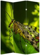 Parawan - Owady (126x170 cm)