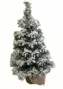 Choinka zaśnieżona w jucie Tiga, 50 cm, 50 cm