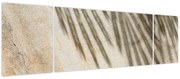 Obraz - Cienie (170x50 cm)