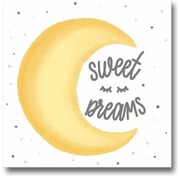 Obrazek dziecięcy 45x45 cm Sweet Dreams – Wallity
