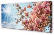 Obraz na płótnie Magnolia niebo słońce