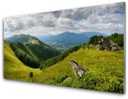 Obraz Akrylowy Góra Łąka Krajobraz