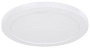 Globo 12379-24W - LED Plafon LASSE LED/24W/230V