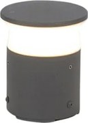 Nowoczesna lampa zewnętrzna ciemnoszara 12 cm z LED - Bar