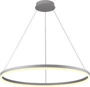 Brilagi - ściemnialna lampa wisząca na linkach CIRCLE LED/55W/230V 3000-6500K srebrna + pilot