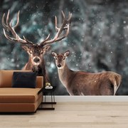 Fototapeta - Jeleń i łania w zaśnieżonym lesie (196x136 cm)