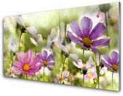 Obraz Akrylowy Kwiaty Roślina Natura