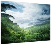 Obraz - Dżungla Seszeli (70x50 cm)