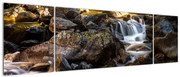 Obraz skalistego strumienia (170x50 cm)