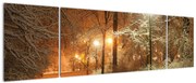 Obraz - Zaśnieżony park (170x50 cm)