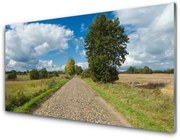 Obraz Akrylowy Wieś Droga Bruk Krajobraz