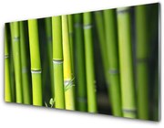 Panel Kuchenny Bambus Natura Roślina